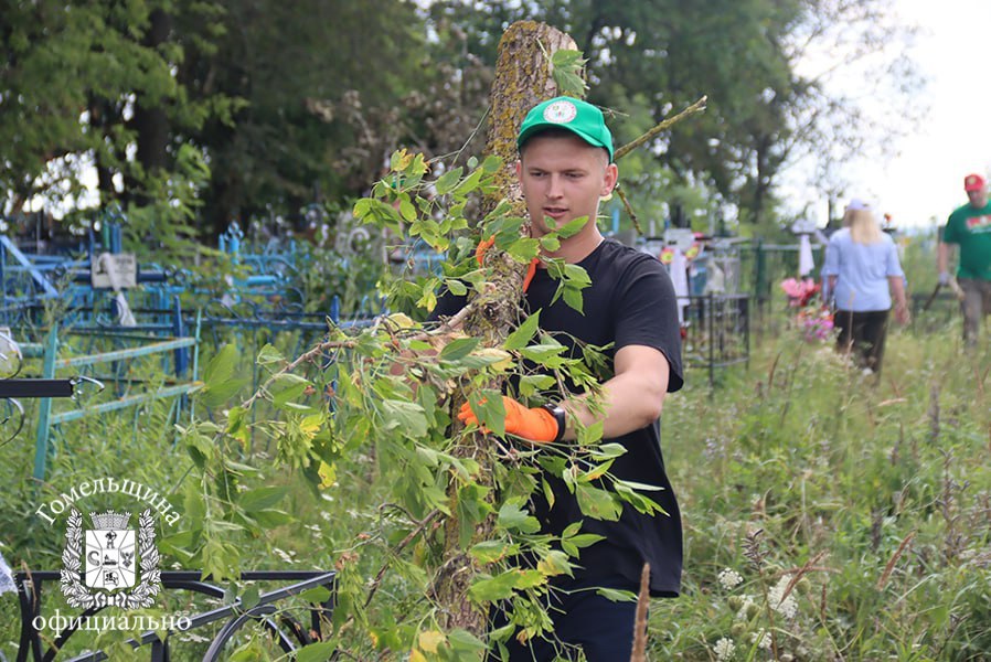 Бурелом в городах и селах области убран на 60%