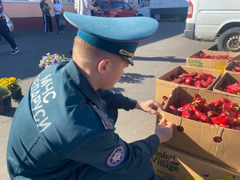 Предупреждение пожаров в природных экосистемах