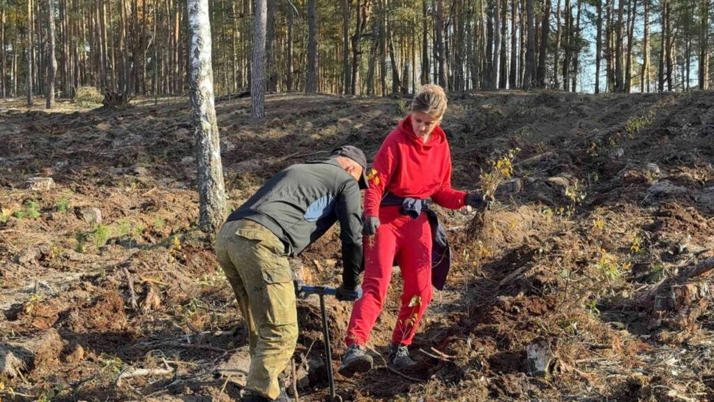 “Дай лесу новае жыццё”