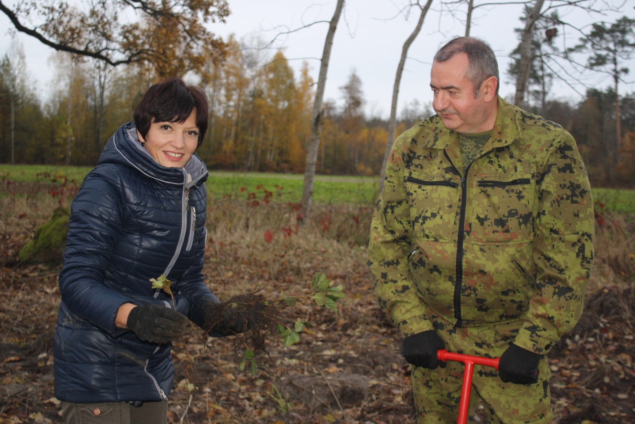 Пасадка лесу – клопат пра сучаснасць  і будучыню квітнеючай Беларусі