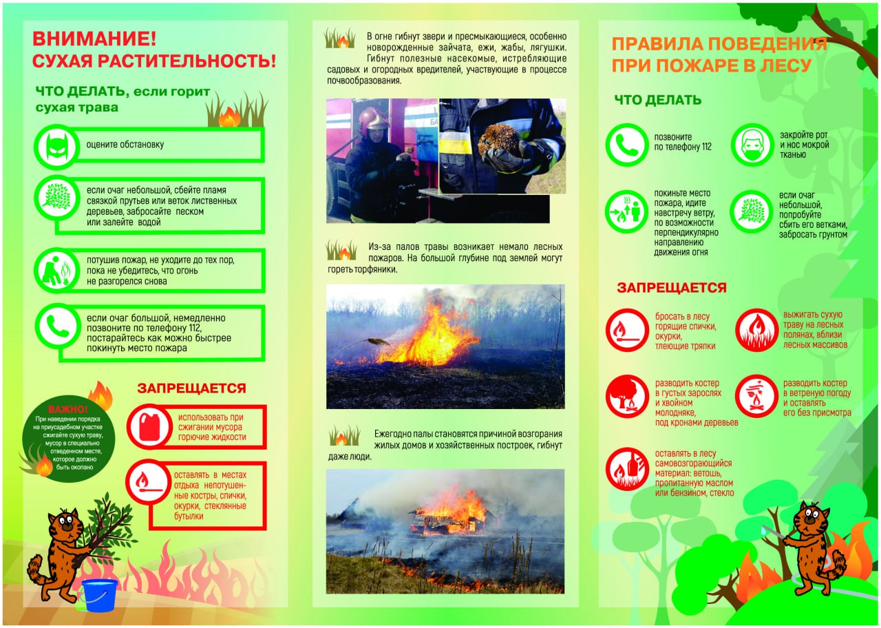 Чтобы наведение порядка на подворье не обернулось трагедией: советы спасателей