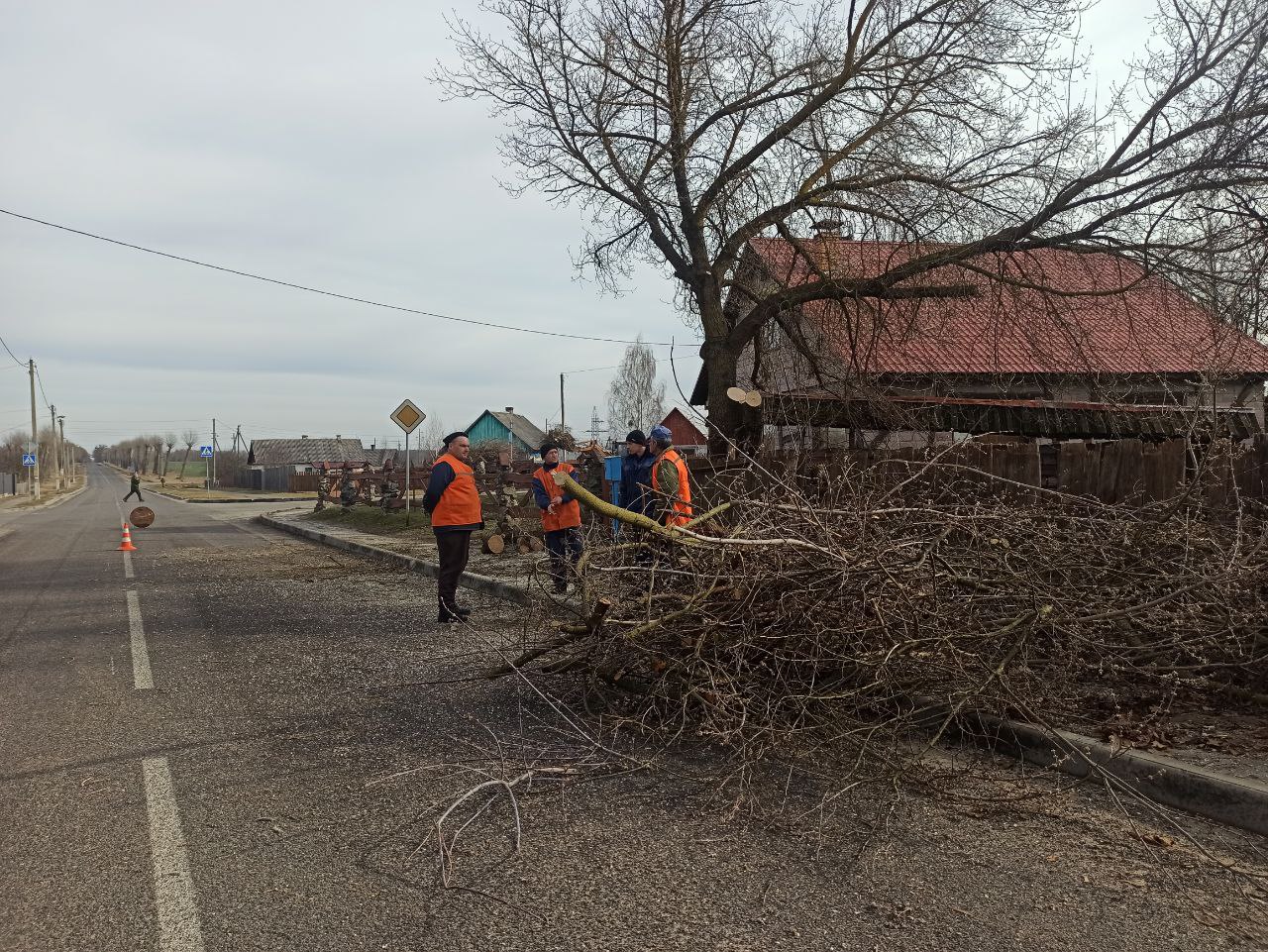 У аб'ектыве нашага карэспандэнта - санітарны дзень у Петрыкаве