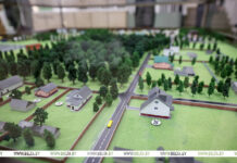 Лукашенко поручил по-хозяйски развивать территории заповедников и осмотрел «деревню будущего»