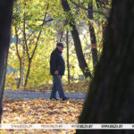 «Возрастные» доплаты к пенсиям увеличатся с 1 ноября в Беларуси