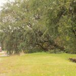 Не толькі непрыгожа, але і небяспечна