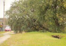 Не толькі непрыгожа, але і небяспечна