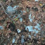 Лес – гэта не звалка!