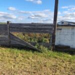 Пазітыўныя ўражанні і трывожны факт