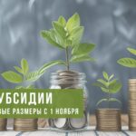 До 9,8 тыс. рублей. Вырастут субсидии от государства на организацию своего дела