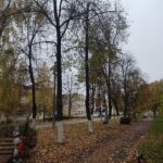 Стан дрэў уздоўж алеі