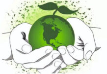 Об осуществлении государственного контроля за использованием и охраной земель