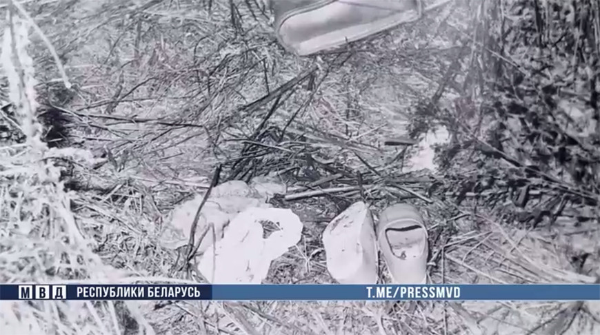 000022_1763013499_748375_big