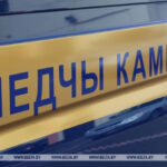 Молодые родители из Калинковичей стали курьерами наркошопа и оказались под следствием