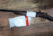 В автомобиле обнаружили двух бобров. Браконьера задержали в Речицком районе