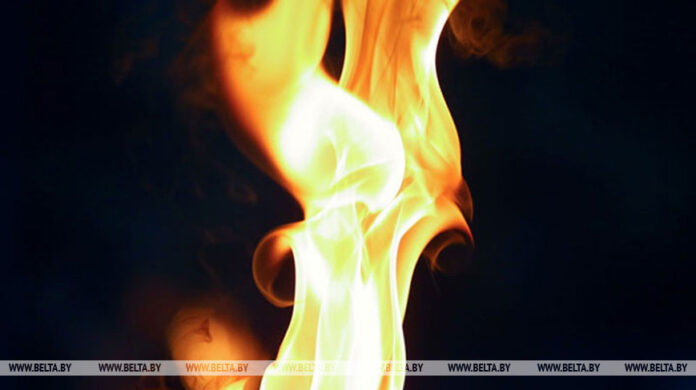 000024_1762595654_747599_big