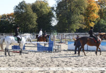 ПОГЛЯД: Конны спорт Беларусі на міжнароднай арэне