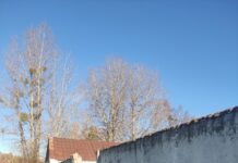 Небяспечны бетон