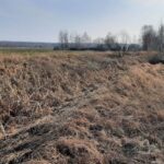 КГК Гомельской области выявлены приписки объемов мелиоративных работ. В отношении должностных лиц районного ПМС возбуждено уголовное дело