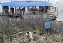 Там, дзе хвалямі плешчацца Прыпяць