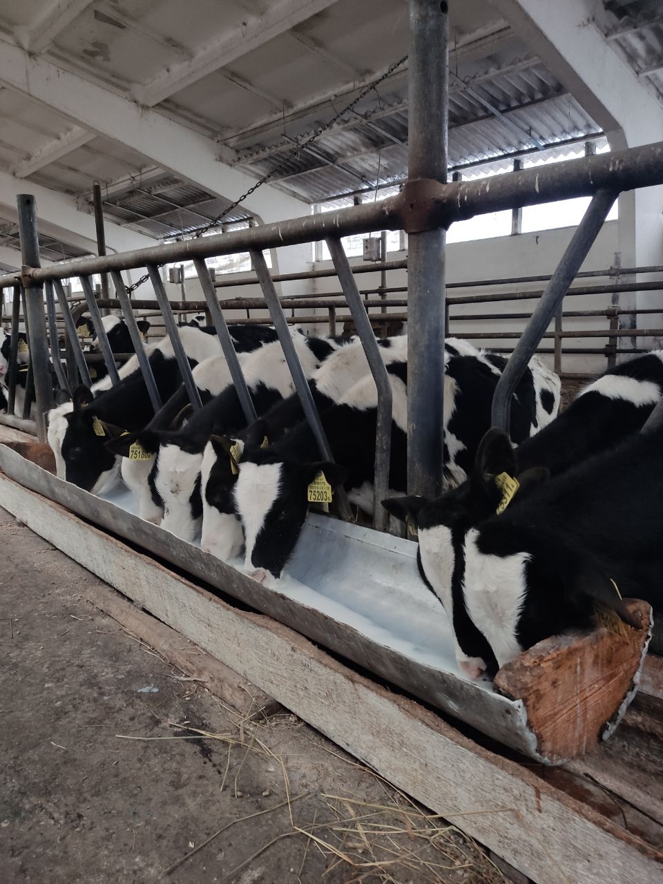 З любоўю да зямлі