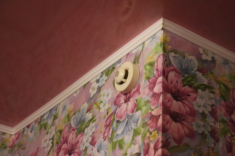 Когда глас народа звучит в защиту безопасности