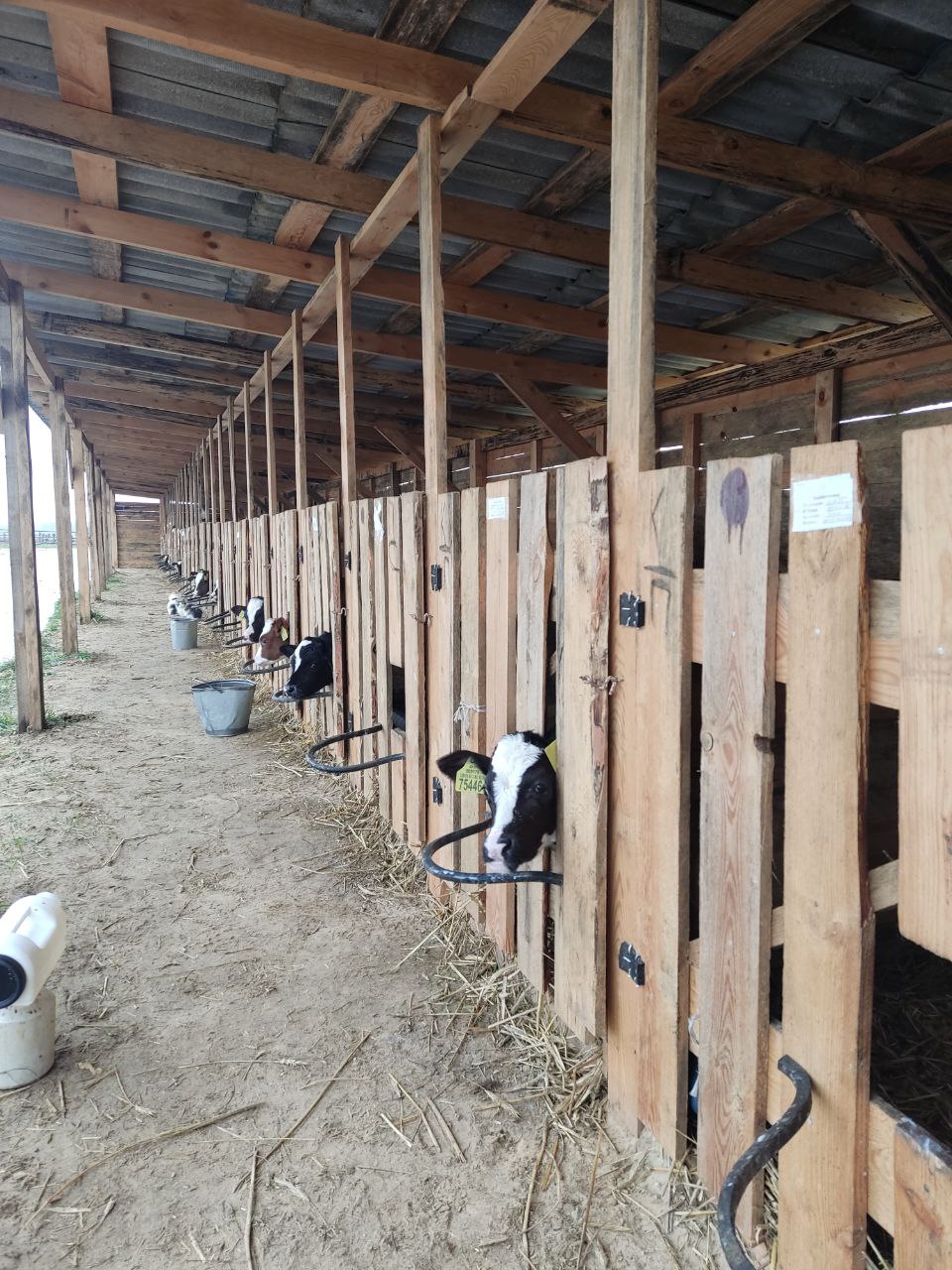 Сёння дэпутат Палаты прадстаўнікоў Нацыянальнага сходу Рэспублікі Беларусь Святлана Сянько працуе ў Камаровіцкім сельскім Савеце