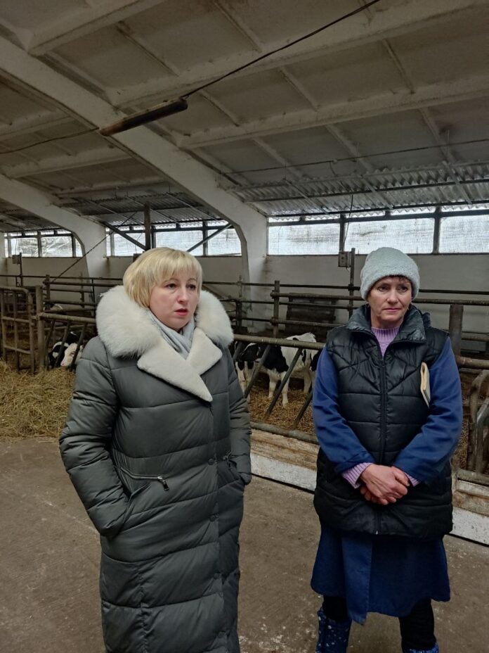 photo_5260353825795674151_y