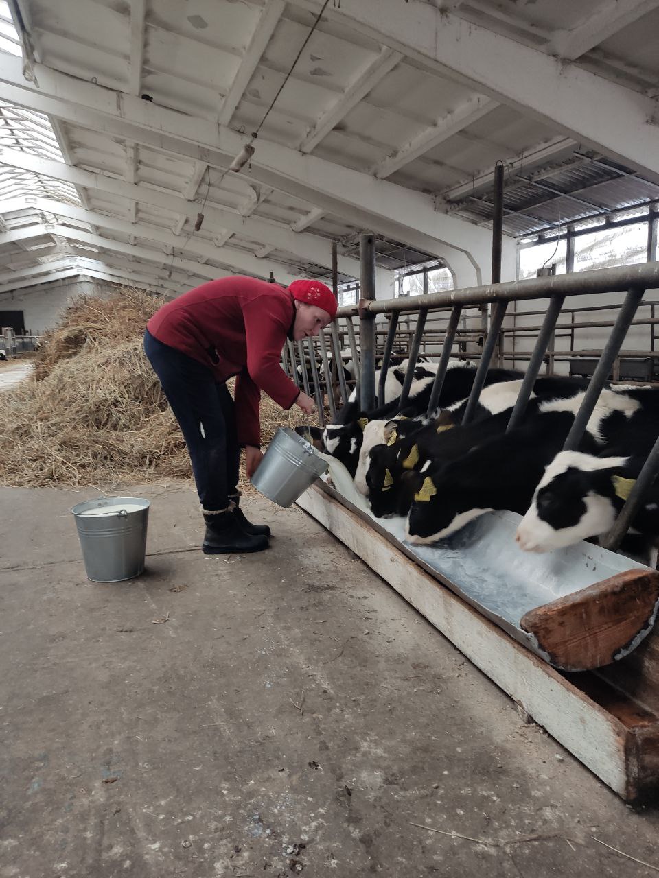 Сёння дэпутат Палаты прадстаўнікоў Нацыянальнага сходу Рэспублікі Беларусь Святлана Сянько працуе ў Камаровіцкім сельскім Савеце