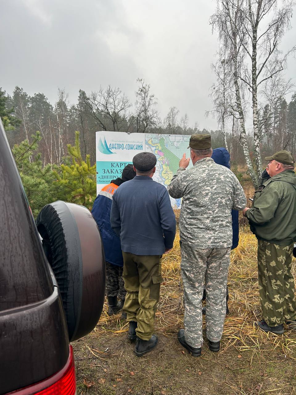 Лесоводы Петриковщины помогают восстанавливать леса Лоевского района