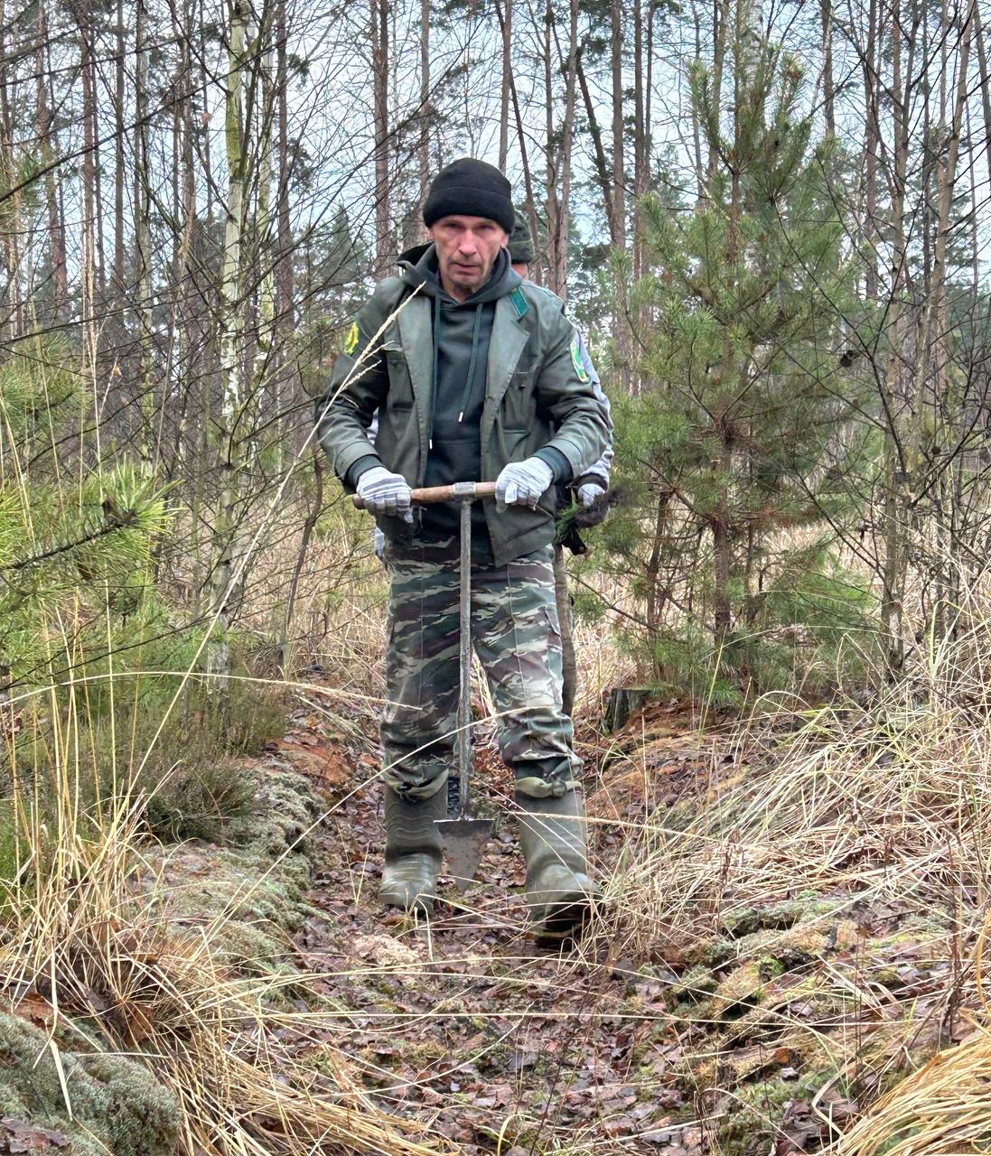 Лесоводы Петриковщины помогают восстанавливать леса Лоевского района