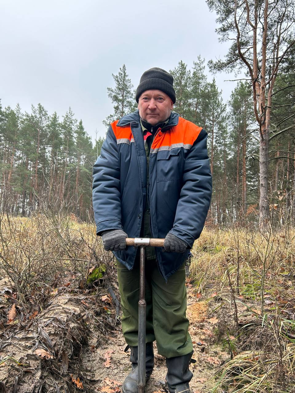 Лесоводы Петриковщины помогают восстанавливать леса Лоевского района