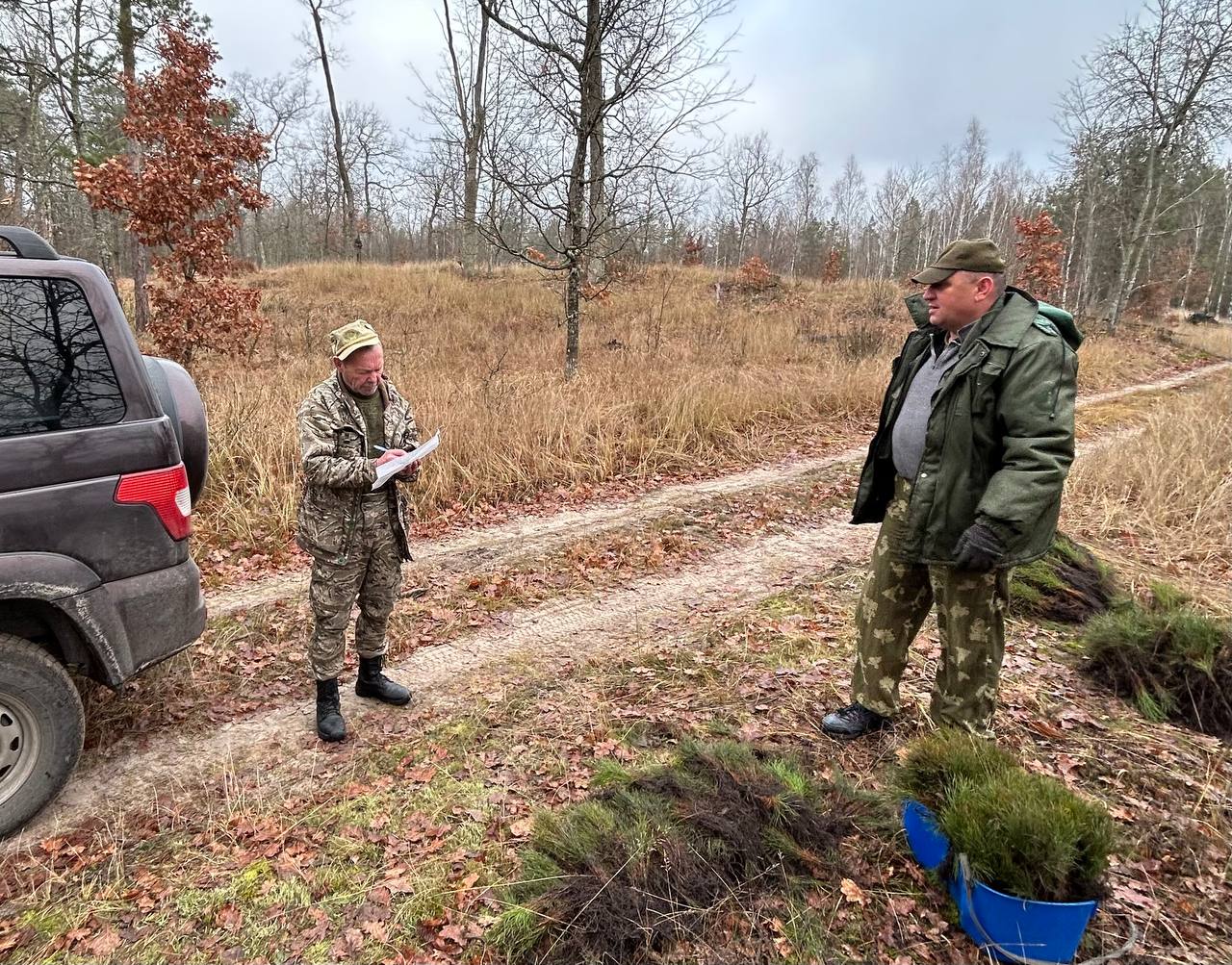 Лесоводы Петриковщины помогают восстанавливать леса Лоевского района