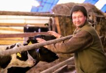 Шчырая любоў да працы