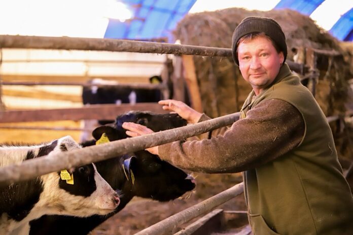 WBDbgmx-HFvcNO0ZDIouvKu0FfM2lkF9CV84rgZDD03buVtxDCIBmMz-Yx9y2uA7762pf1H7hLlIs8b1kiXIzT0Q