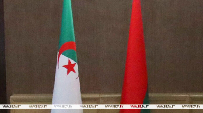 000019_1764649647_751844_big