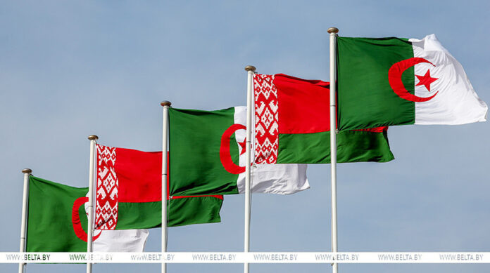 000019_1764682901_751984_big