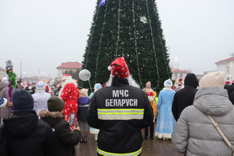 Безопасный Новый год в Петриковском районе