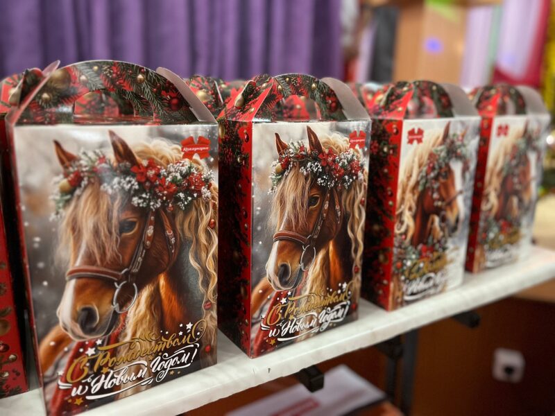 "Нашыя дзеці" ў Петрыкаўскім СПТВ: Свята падтрымкі і ўвагі