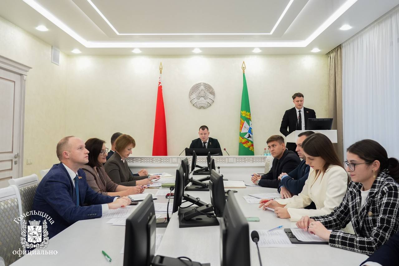 Руслан Пархамович и Екатерина Зенкевич на заседании Молодежного совета Гомельщины