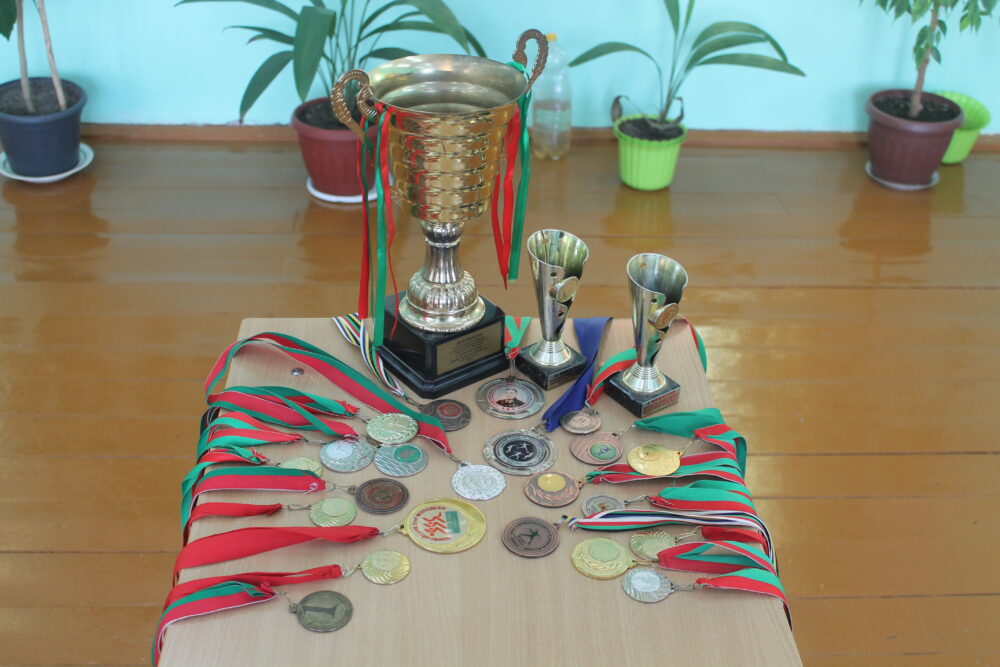 Прыклад мэтанакіраванасці