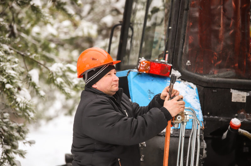 У пошуках ідэальнай шышкі