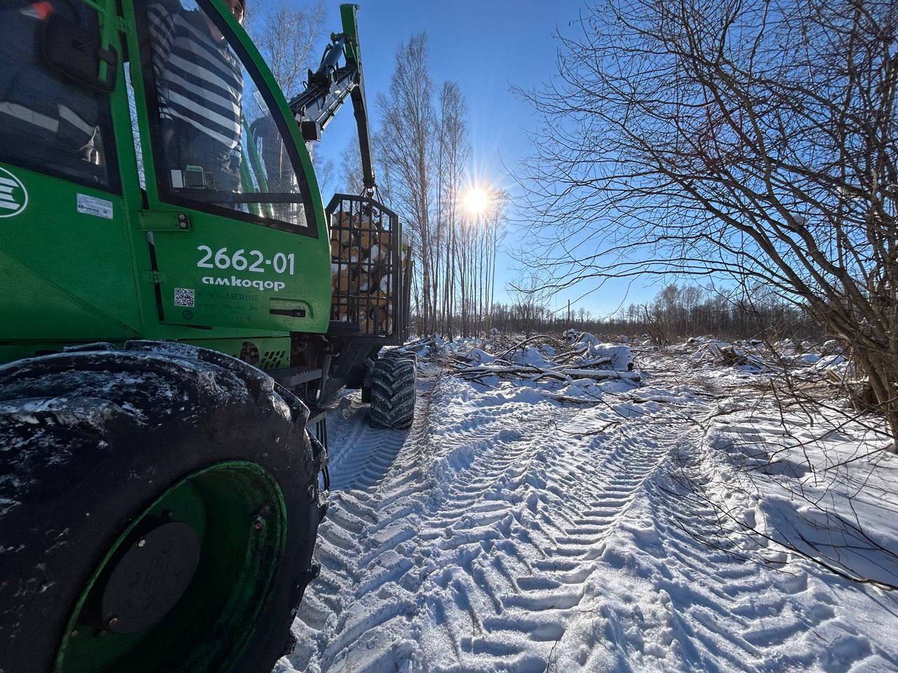 Ліпень 2024: выпрабаванне для ляснога фонду Беларусі