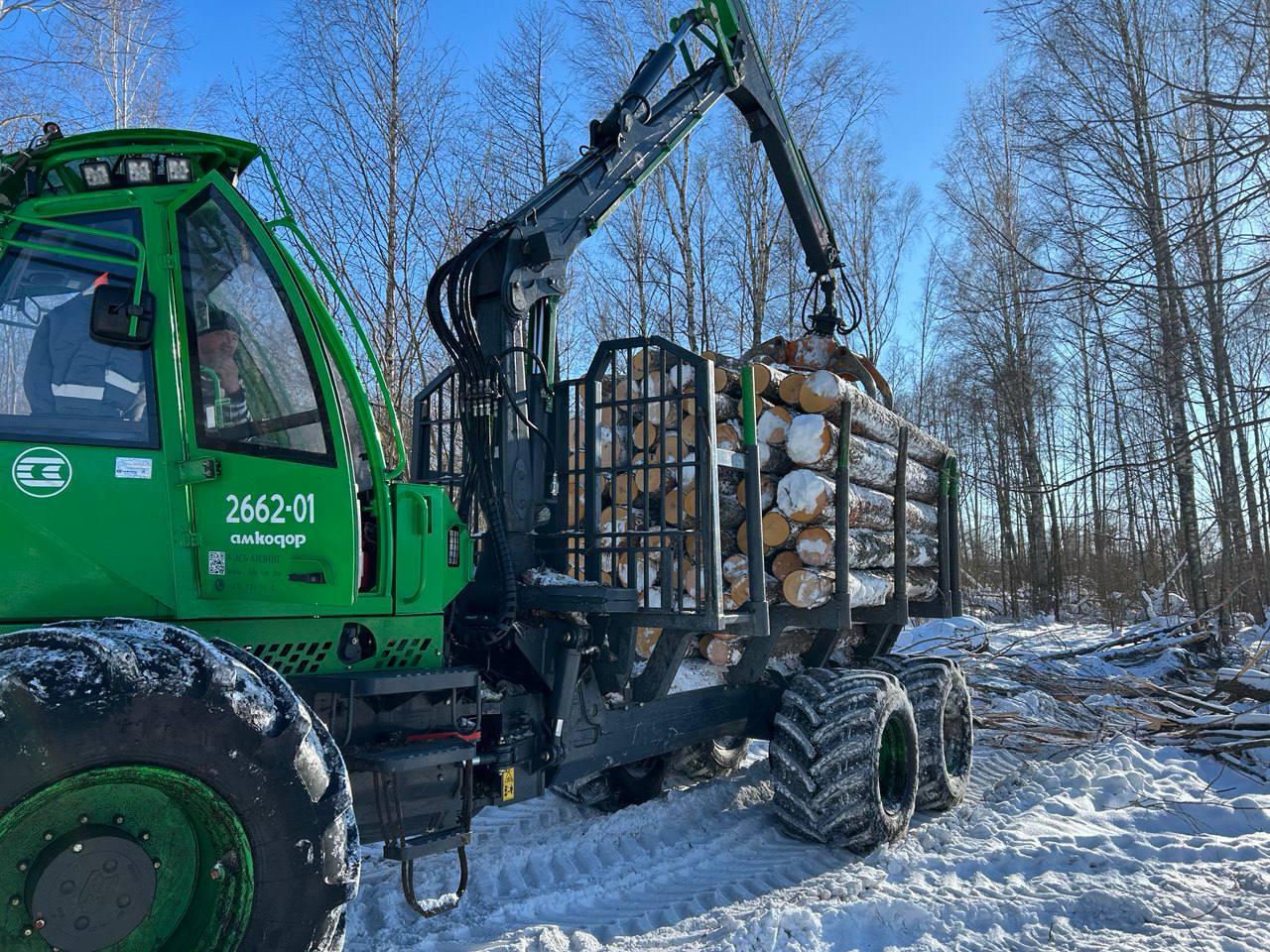 Ліпень 2024: выпрабаванне для ляснога фонду Беларусі