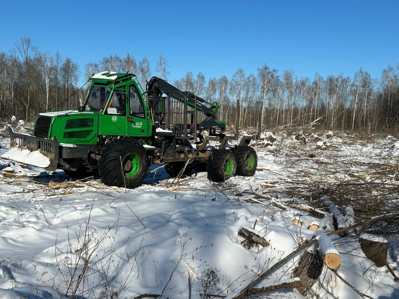 Ліпень 2024: выпрабаванне для ляснога фонду Беларусі