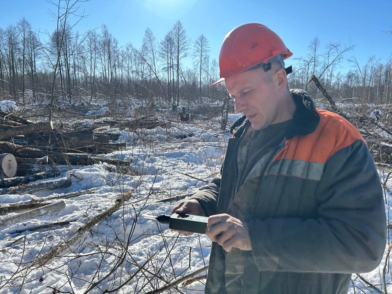 Ліпень 2024: выпрабаванне для ляснога фонду Беларусі