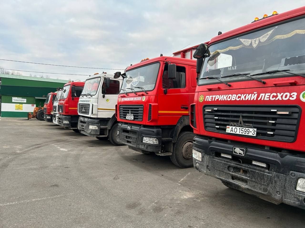 Посещение цеха по переработке древесины Петриковского лесхоза