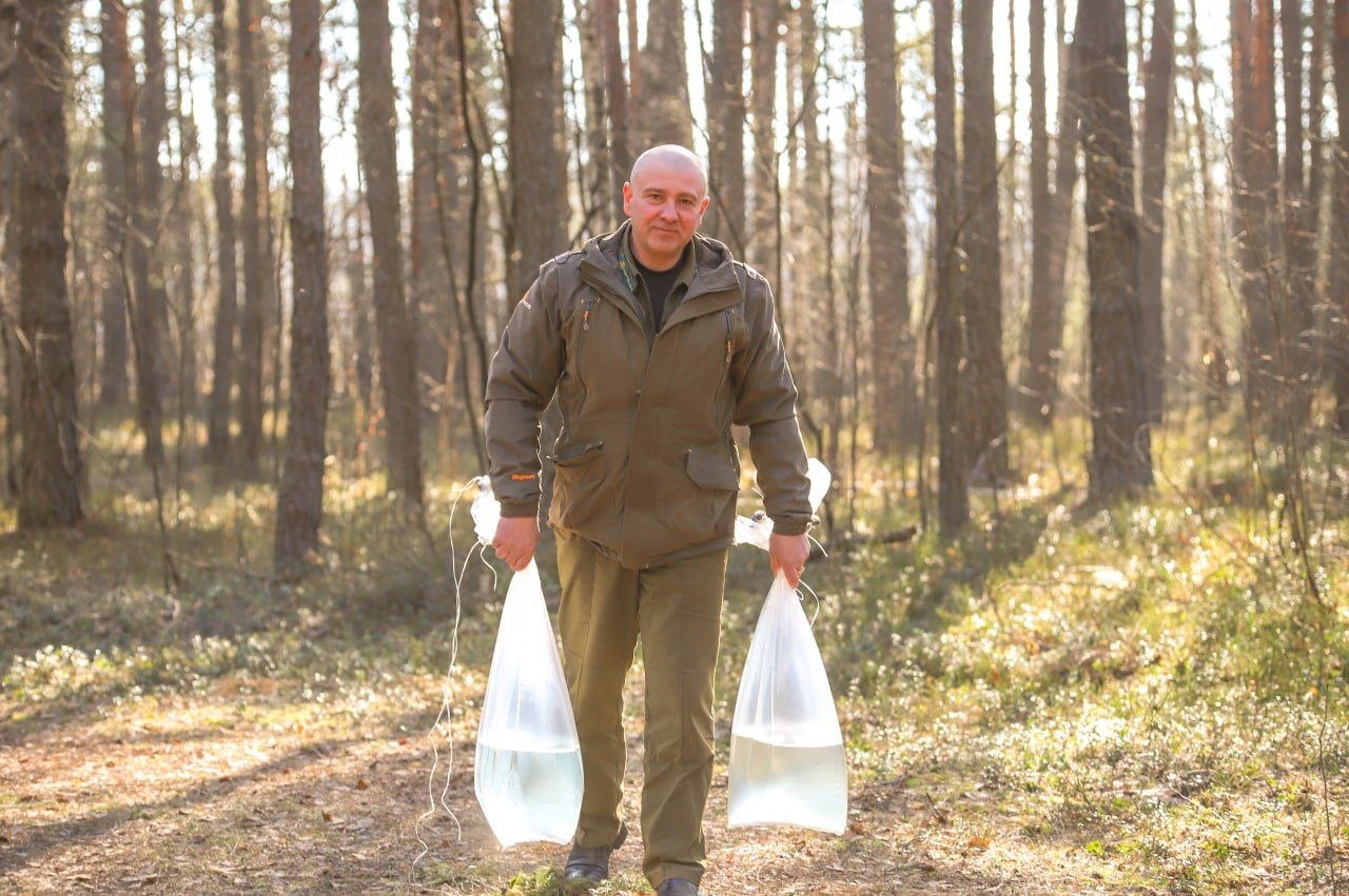 Березовый фреш прямиком из леса: как это было!