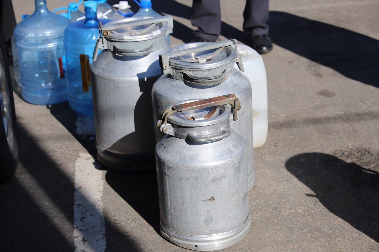 Березовый фреш прямиком из леса: как это было!