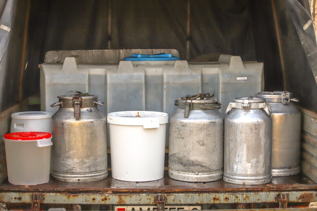 Березовый фреш прямиком из леса: как это было!