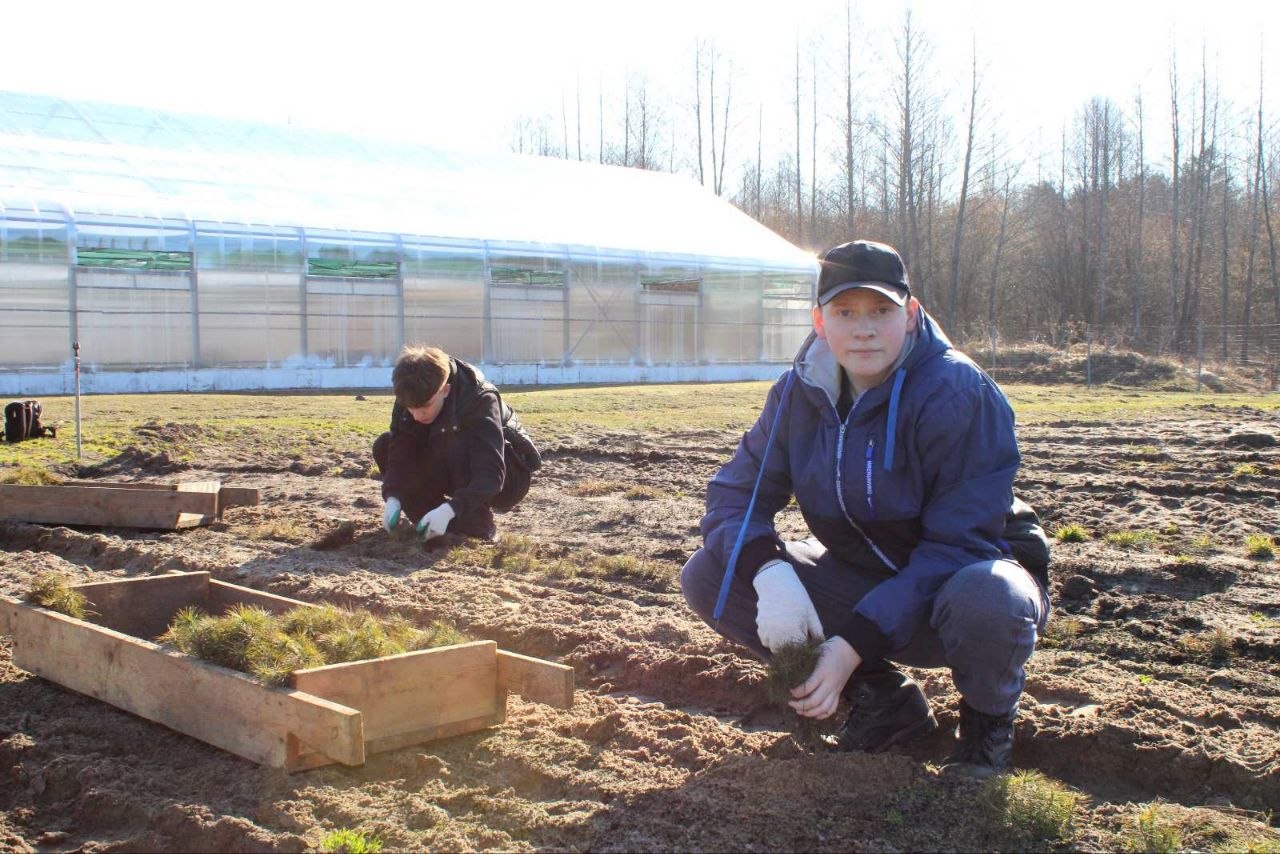 Первые дни студенческого отряда в Национальном парке «Припятский»